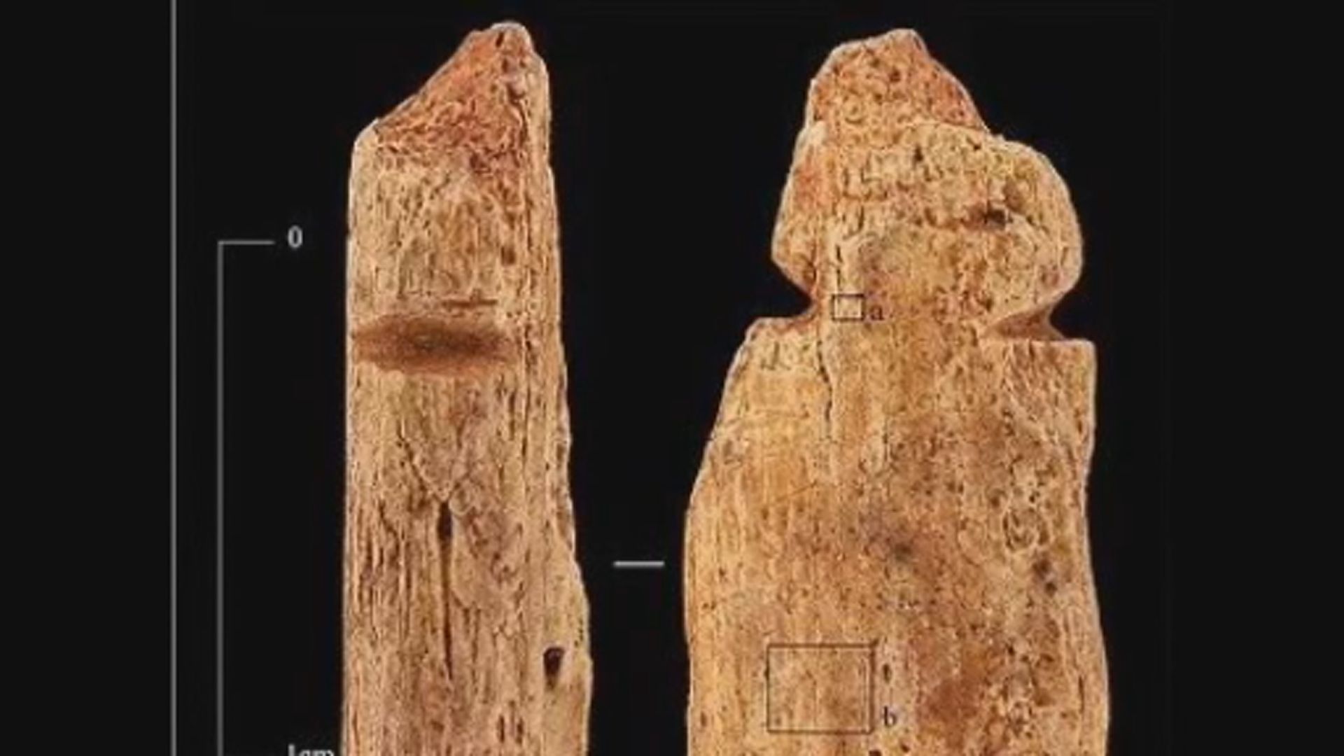 【環球薈報】出土石器時代吊飾部分由人骨製成　或顯示有食人習慣