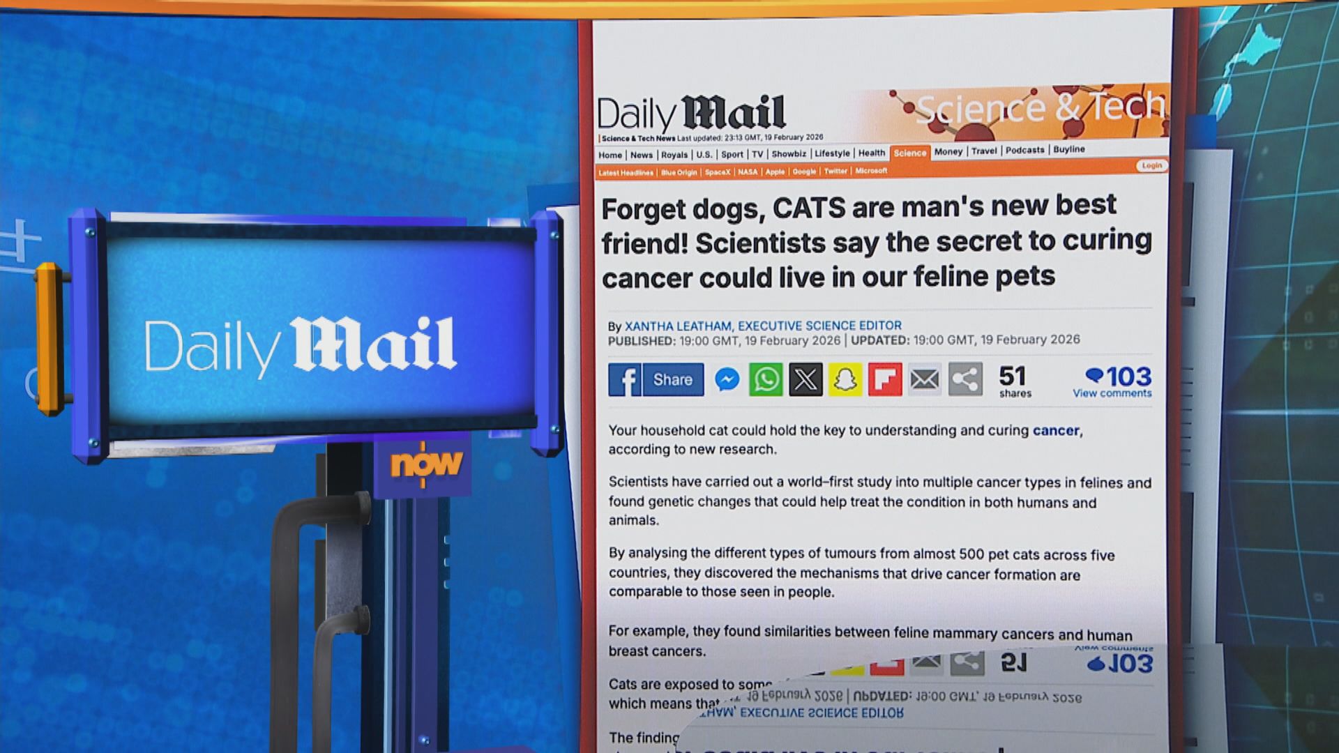 世味天下｜研究發現家貓可能擁有了解和治療癌症鎖匙