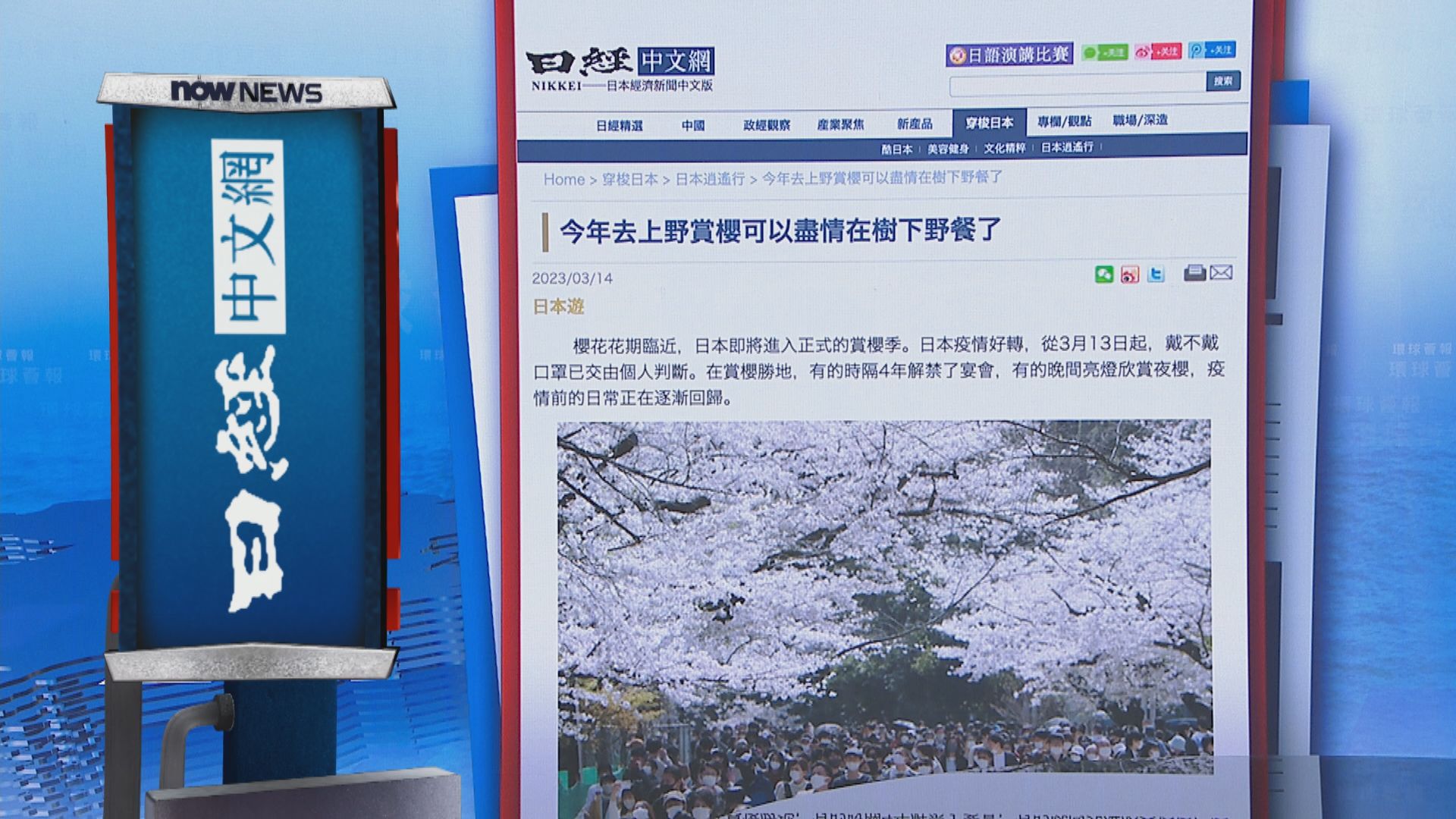 【環球薈報】賞櫻時節　東京上野公園解禁野餐活動