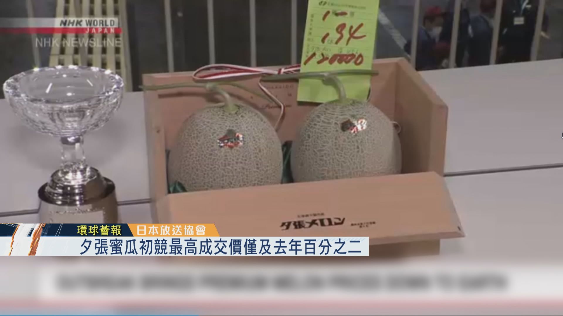 【環球薈報】夕張蜜瓜初競最高成交價僅及去年百分之二