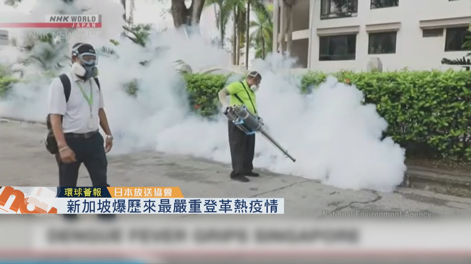 【環球薈報】新加坡爆歷來最嚴重登革熱疫情