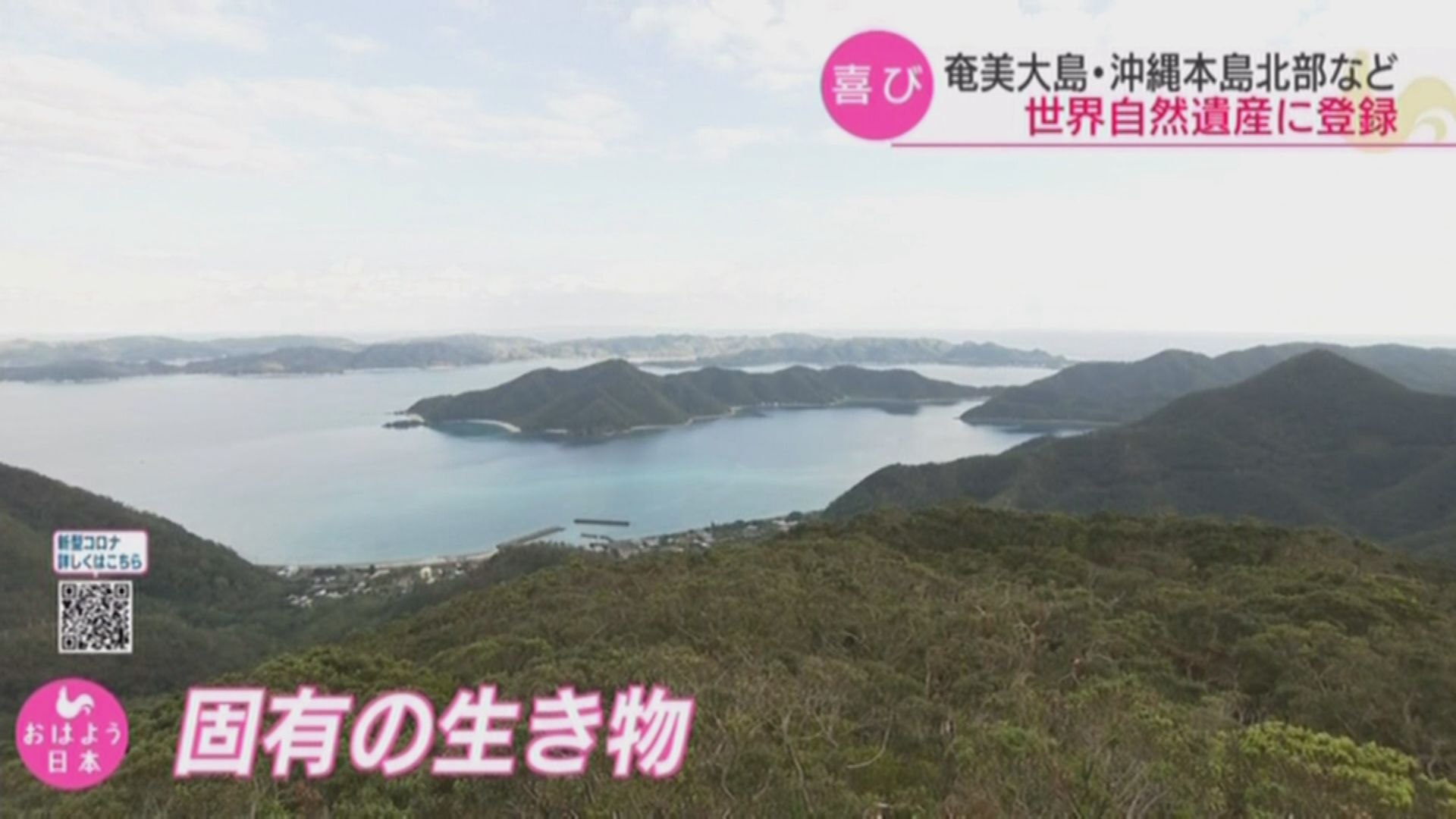 【環球薈報】日本奄美大島、德之島、沖繩島北部及西表島列世界自然遺產