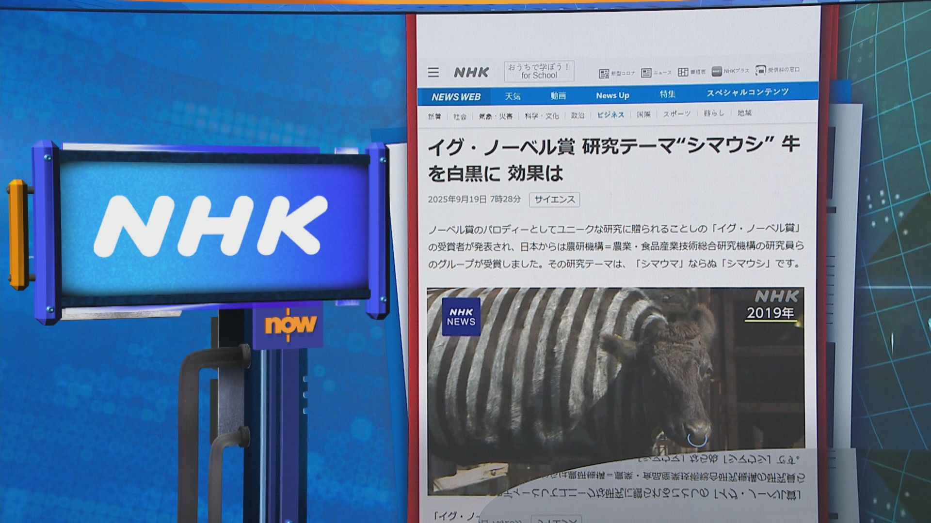 世味天下｜發現牛身畫斑馬紋助減蚊蟲釘咬　日本研究奪搞笑諾貝爾獎