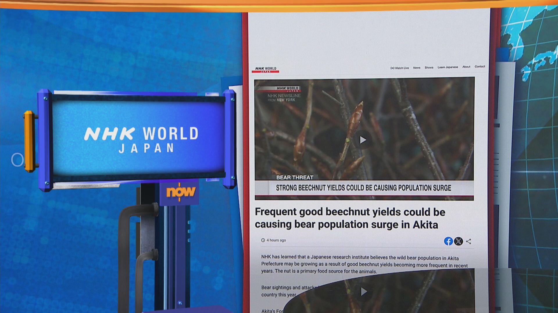 世味天下｜日本秋田縣研究指堅果豐收更頻繁致熊數量激增