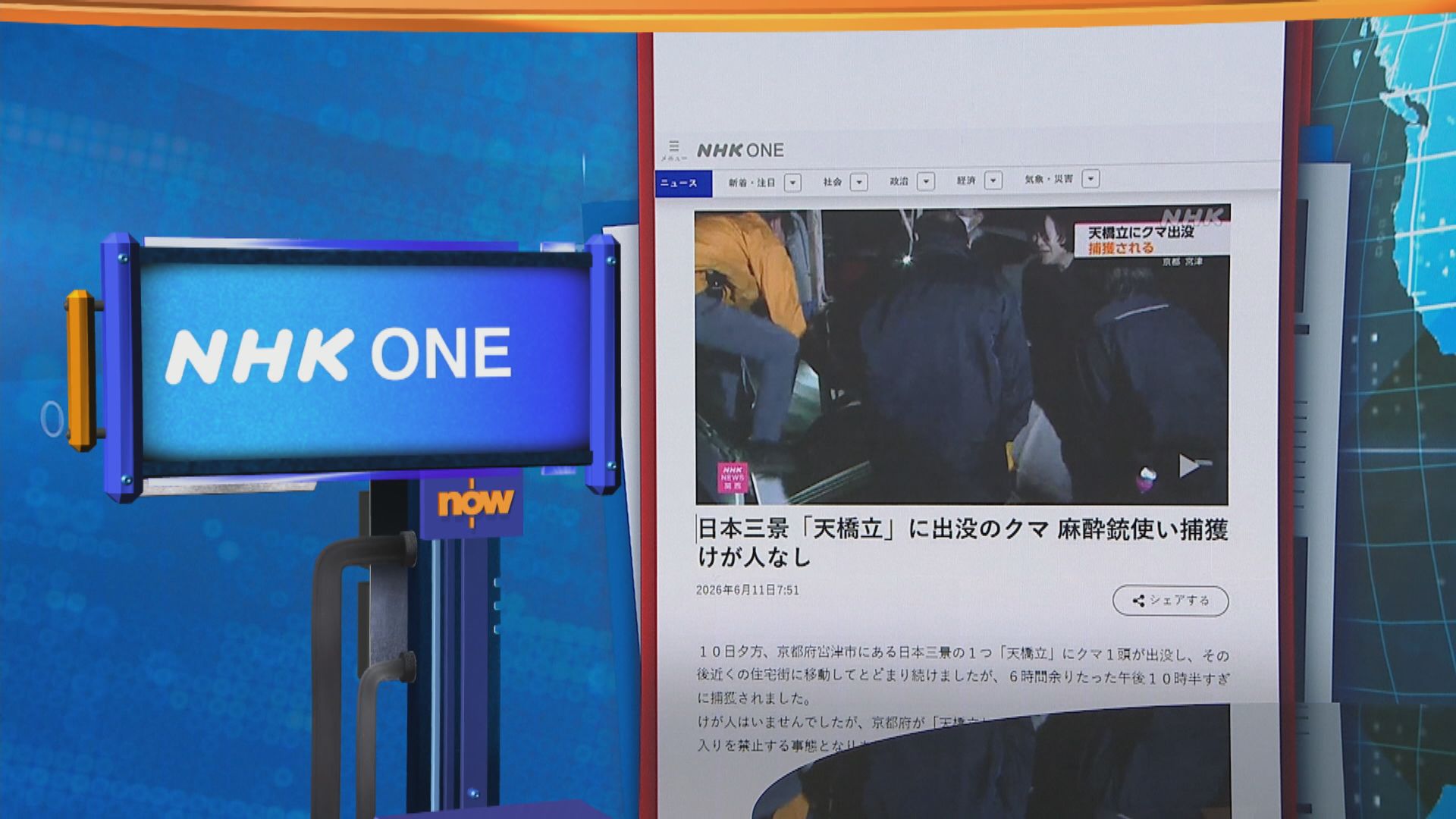 世味天下｜日本名勝天橋立驚見黑熊游泳進入住宅區