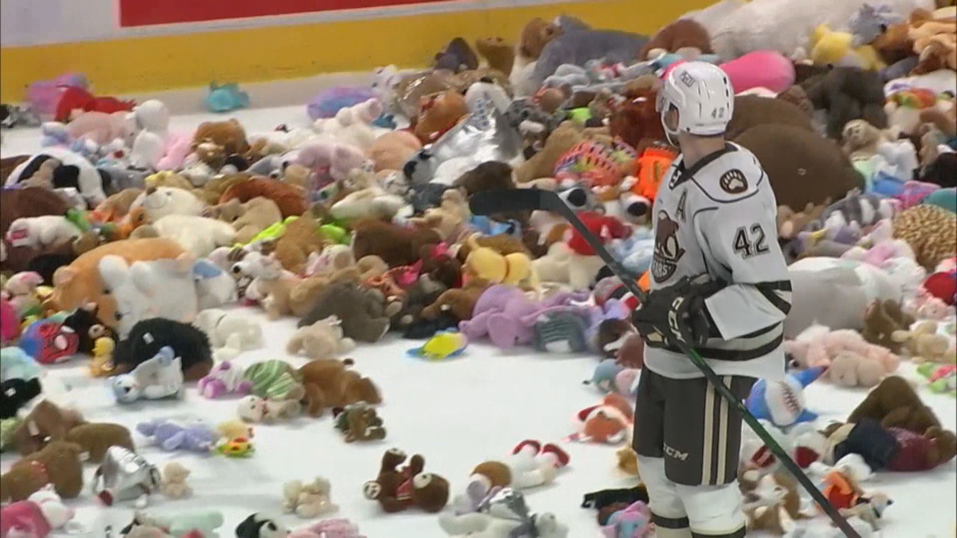 【環球薈報】美國職業冰球隊赫爾希熊隊籌得逾五萬隻啤啤熊破世界紀錄