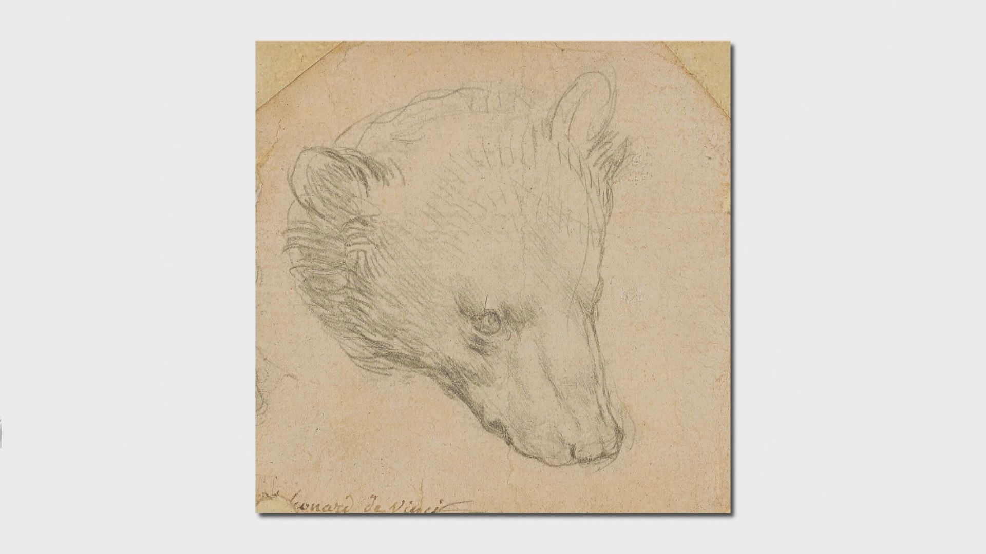 【環球薈報】達文西小型畫作《熊頭》逾1200萬美元成交