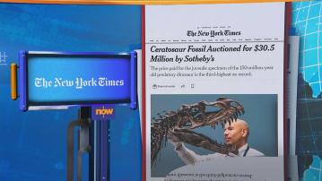 世味天下｜蘇富比拍賣年幼角鼻龍化石　以逾3000萬美元天價成交
