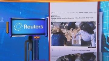 【世味天下】颶風貝麗爾逼近 墨西哥地方政府派員移走海龜蛋避風浪