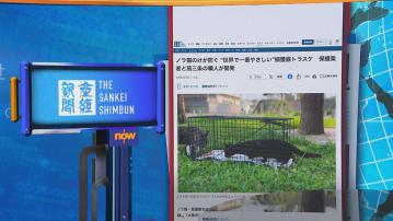 世味天下｜日本愛貓團體研發「溫柔捕貓籠」　冀宣揚善待動物意識