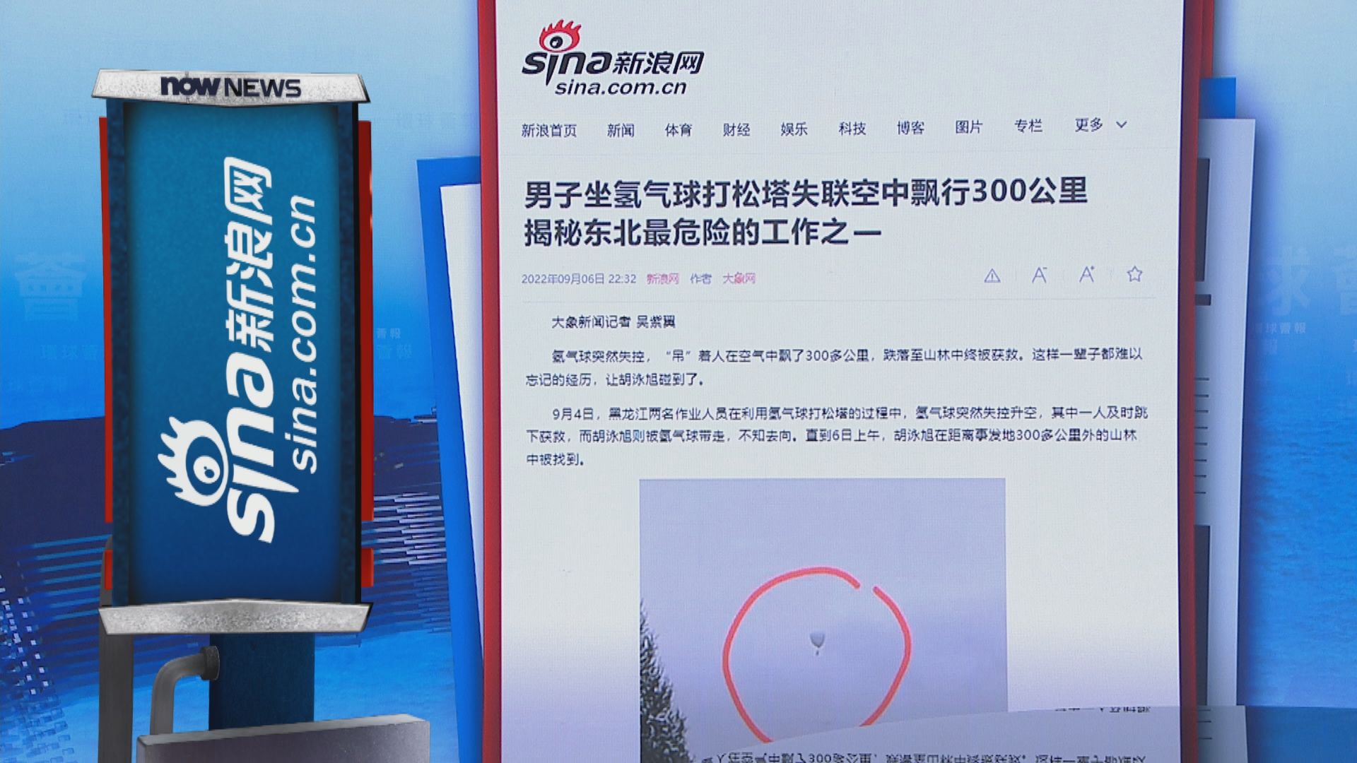 【環球薈報】打松塔——東北最危險的工作之一