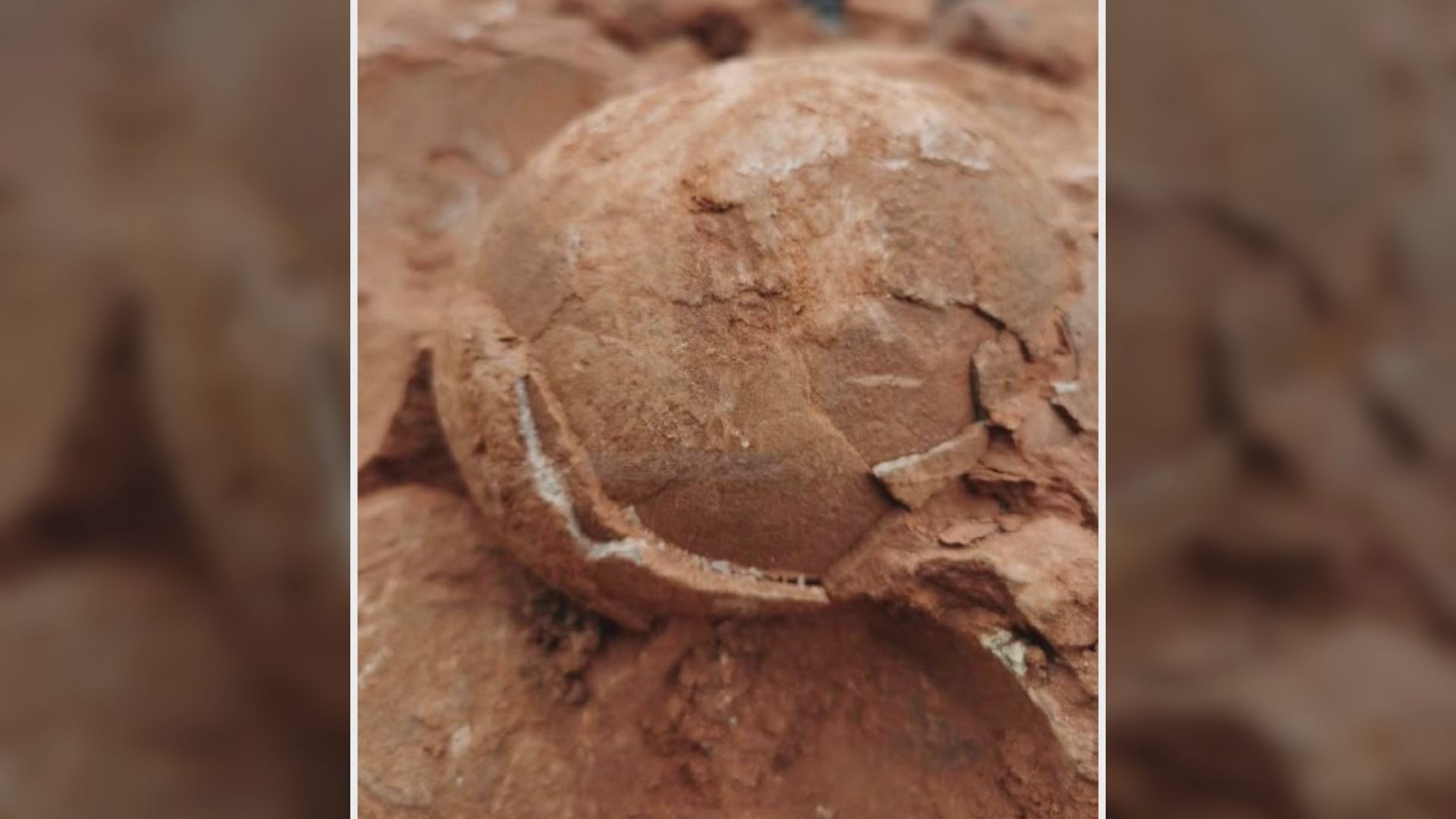 【環球薈報】江西九江市發現三枚恐龍蛋化石　距今約7000萬年