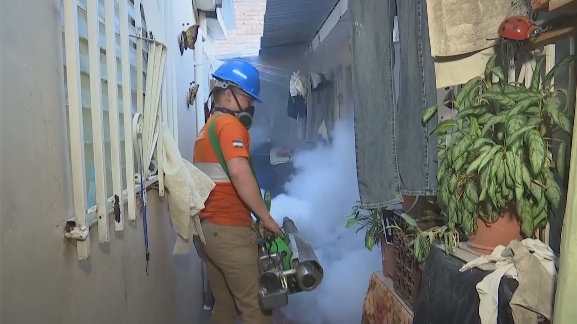 【環球薈報】英國生物科技公司推基因改造蚊子滅蚊