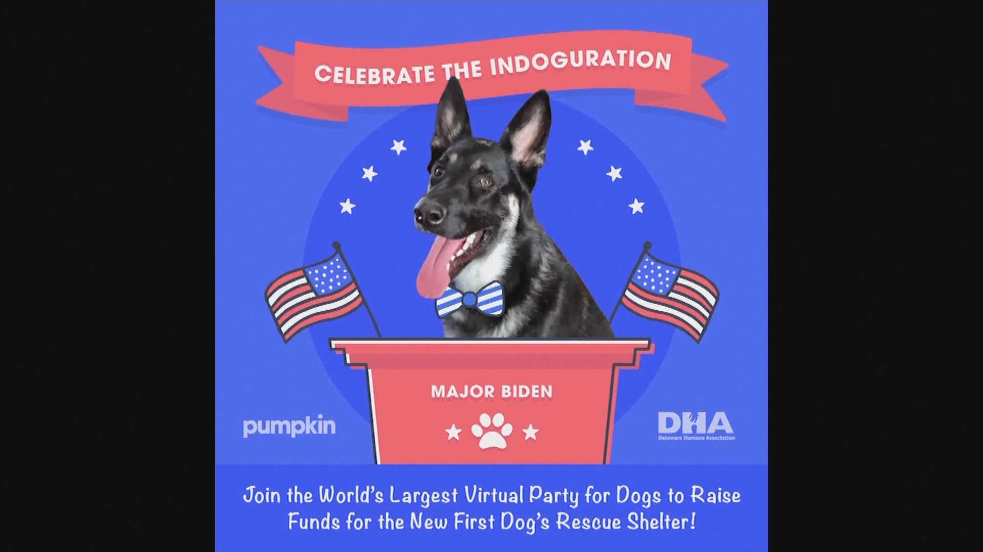 【環球薈報】美領養中心為拜登愛犬舉辦「就職禮」