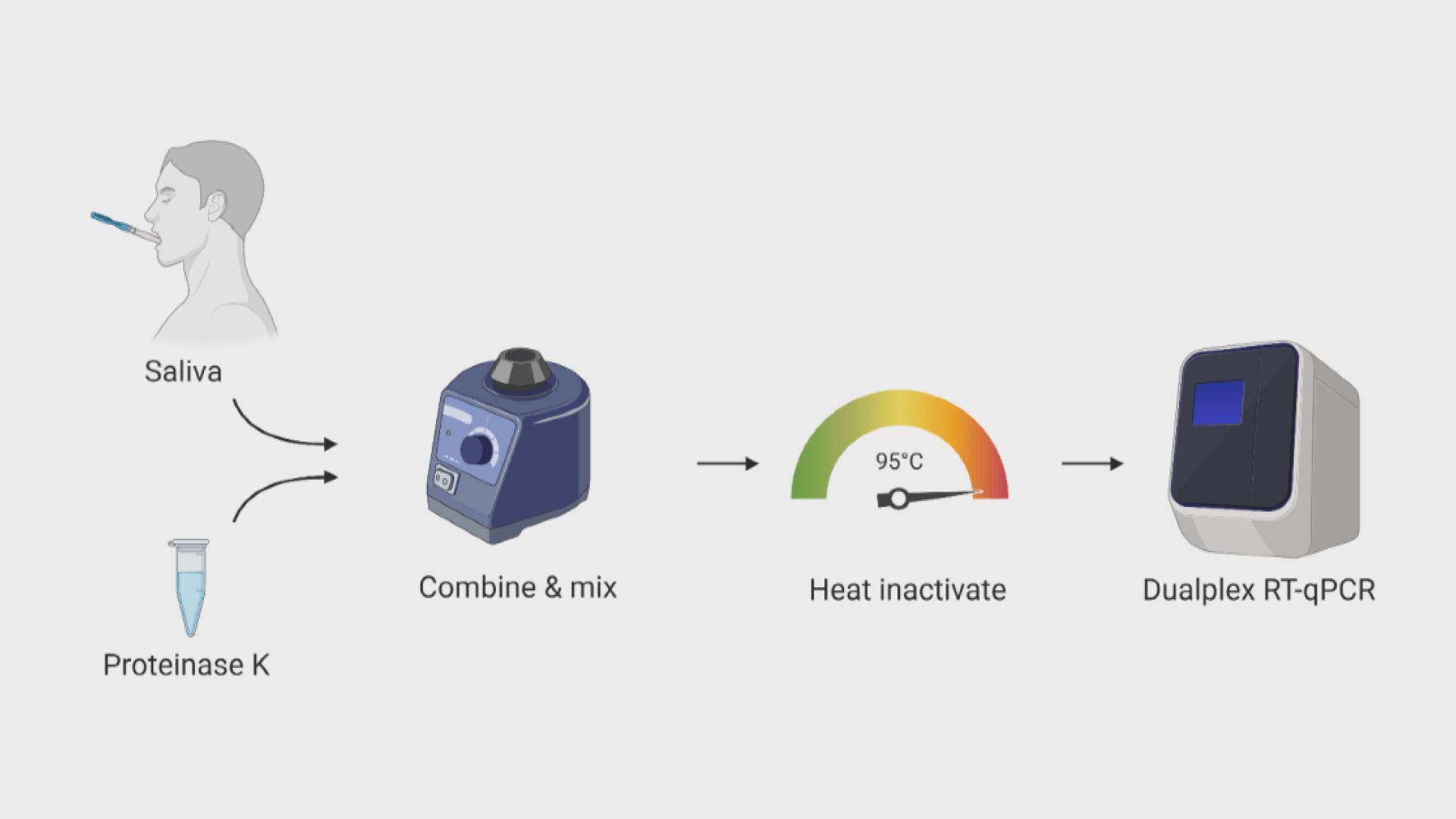 【環球薈報】耶魯大學唾液檢測新冠病毒獲批緊急使用