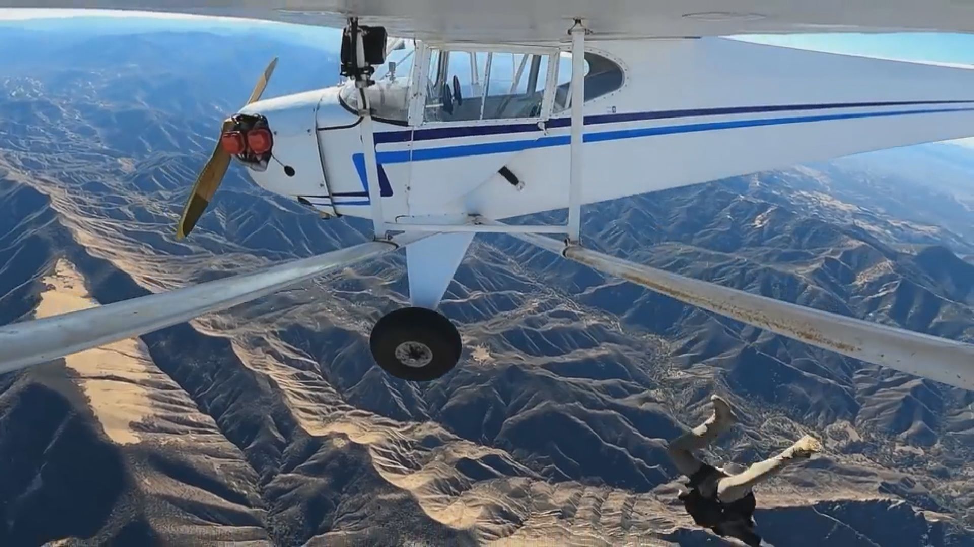 【環球薈報】美國網紅自拍逃離失控飛機被指造假　遭吊銷飛行執照
