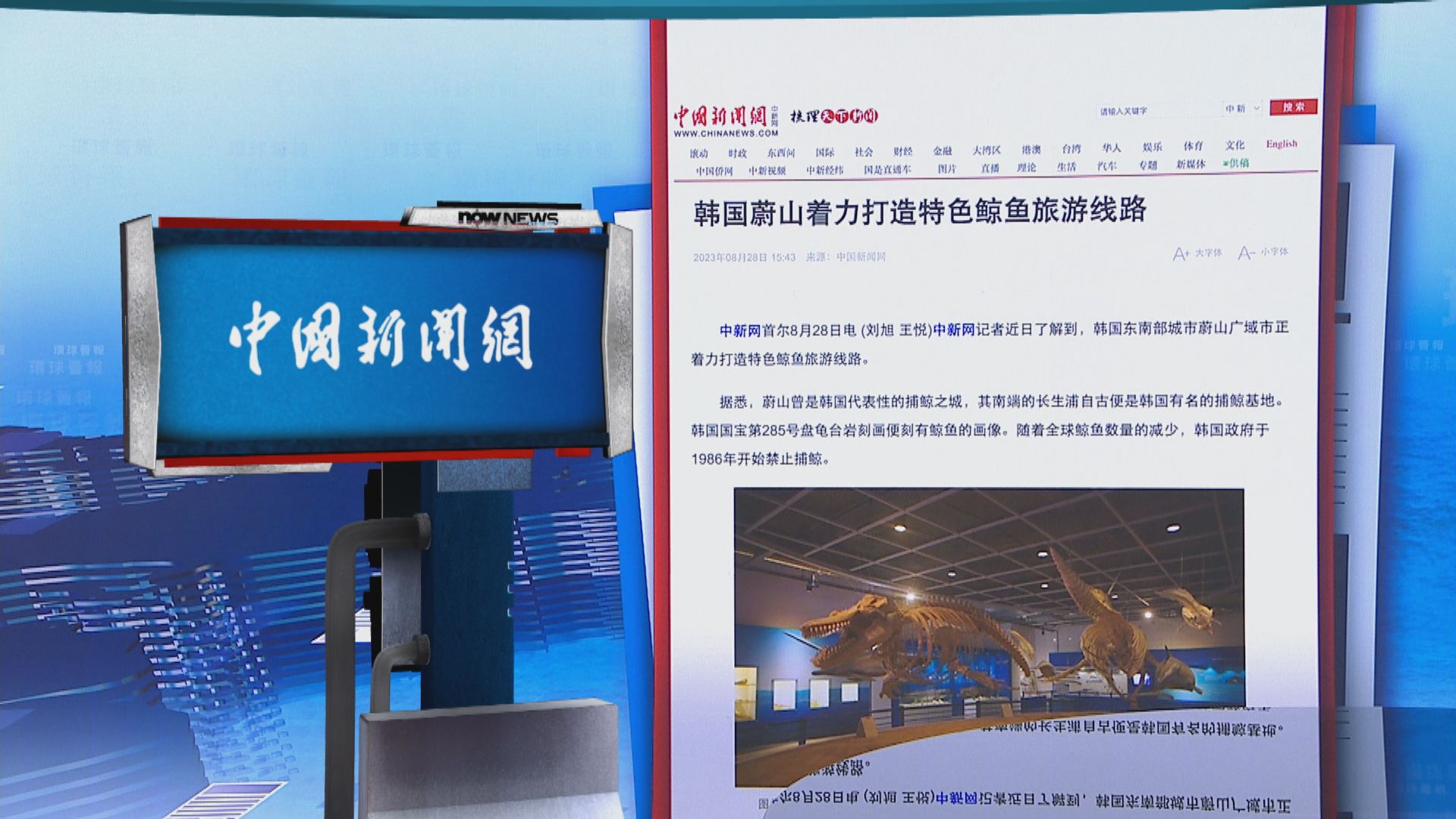 【環球薈報】南韓蔚山廣域市打造鯨魚旅遊路線