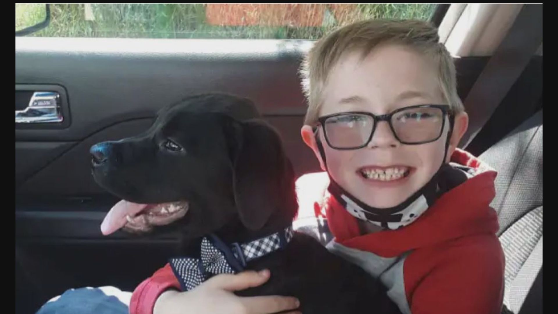 【環球薈報】為治療家中小狗　男童割愛出售珍藏