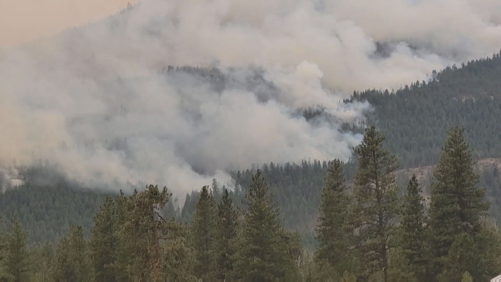 【環球薈報】山火煙霧造成空氣污染　美國小鎮獲贈二千部空氣清新機