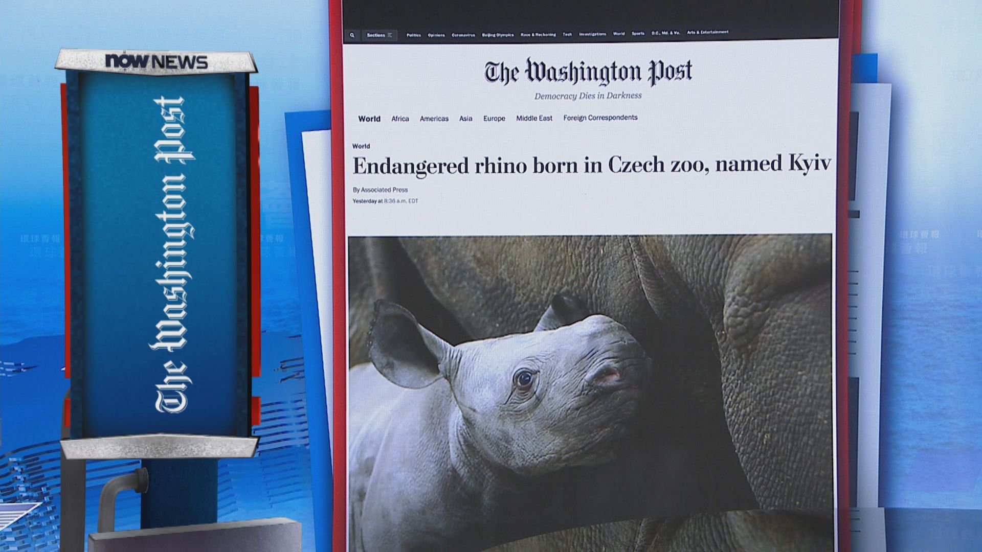 【環球薈報】捷克動物園將新生東非黑犀牛命名為「基輔」