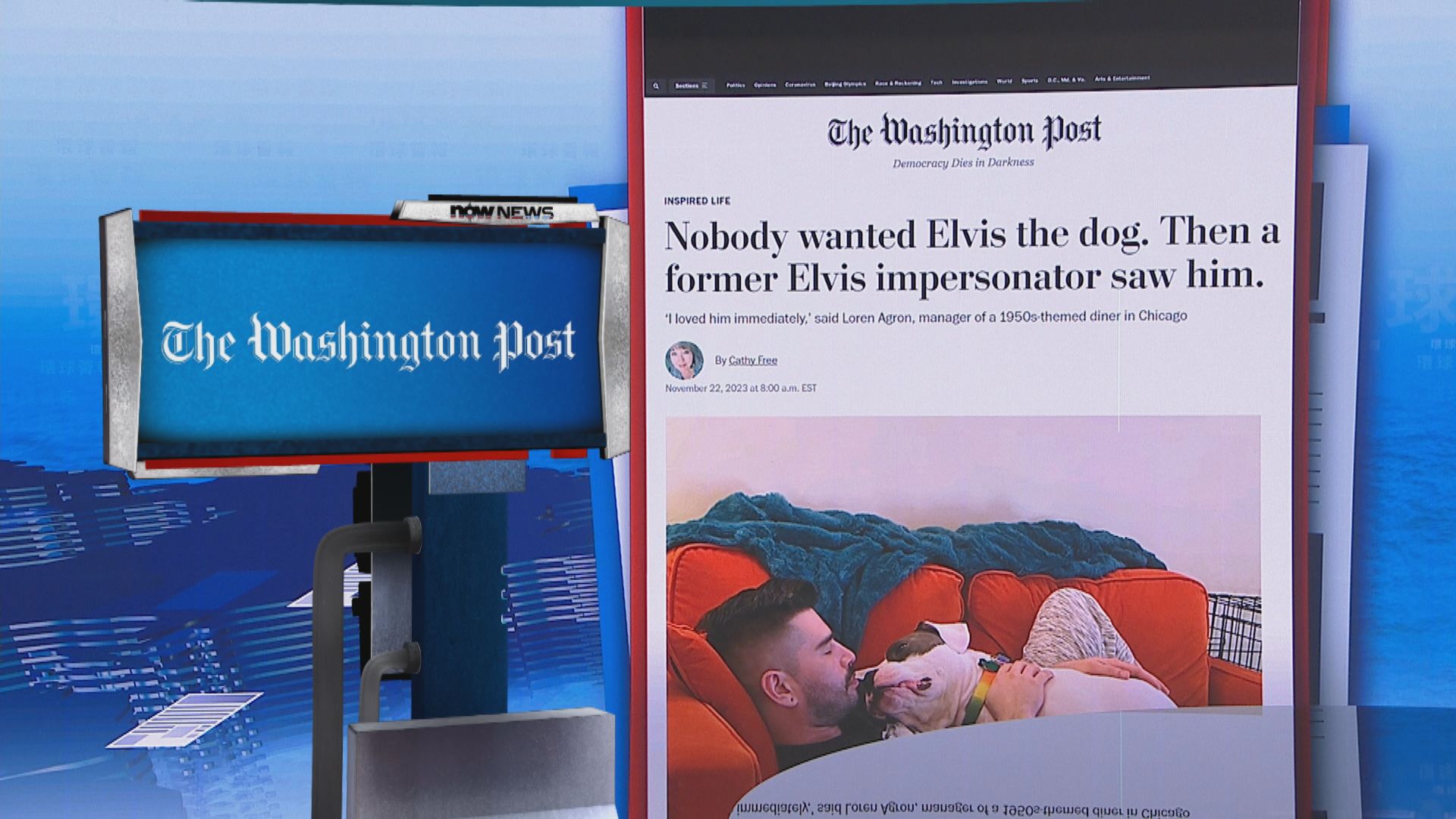 【環球薈報】與「貓王」同名鬥牛犬終獲領養