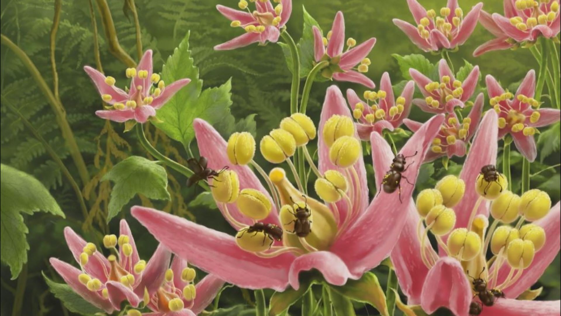 【環球薈報】中英考古學家發現約一億年前昆蟲糞便化石