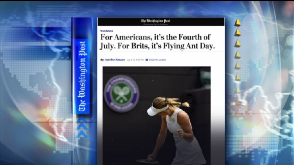 【環球薈報】英國「飛蟻日」出現大量飛蟻