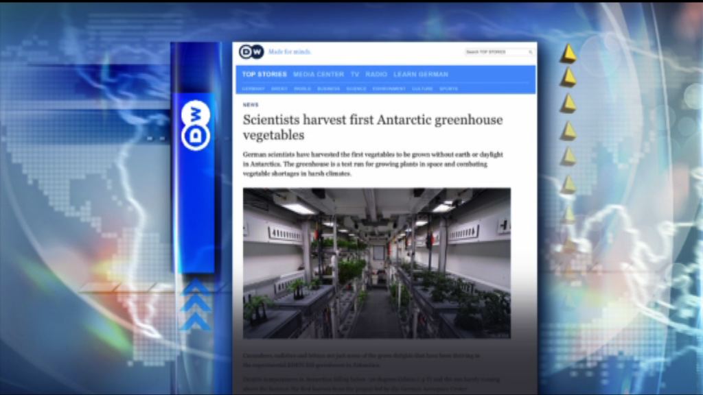 【環球薈報】德國科學家南極考察站種菜首次收成