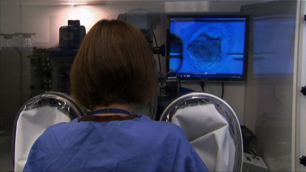 【環球薈報】女性雪藏卵子因學歷高？