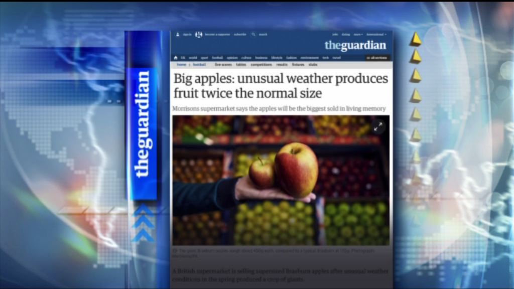 【環球薈報】英年初寒冷天氣造就大批巨型蘋果