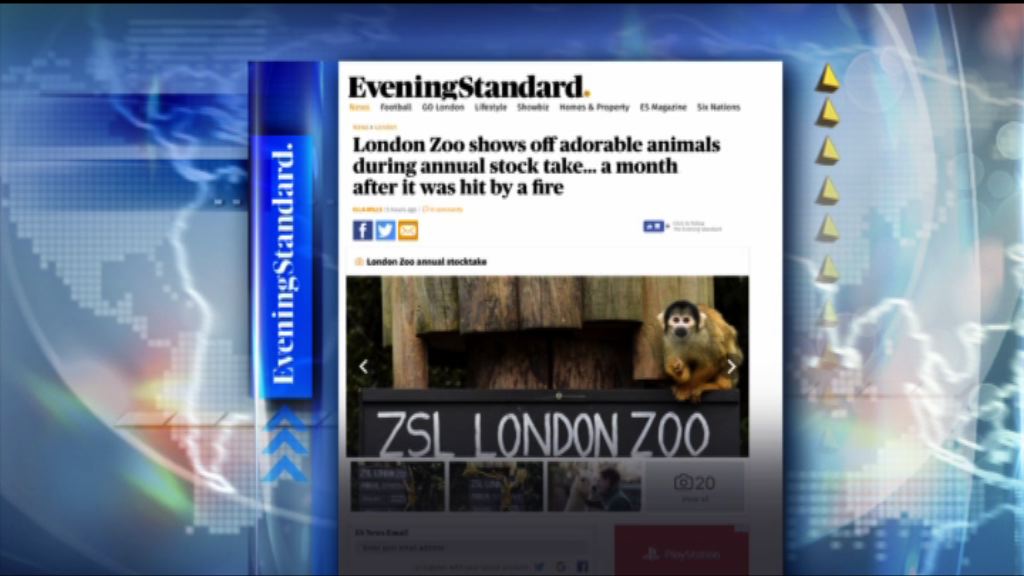 【環球薈報】英國倫敦動物園年度盤點