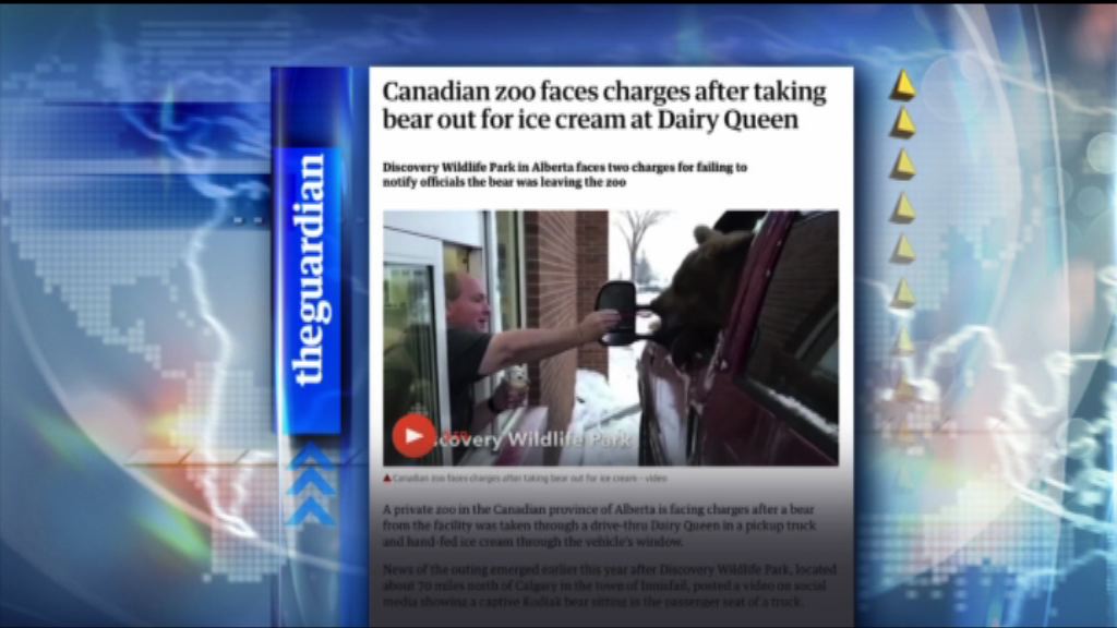 【環球薈報】加國野生動物園員工擅帶熊隻外出被控