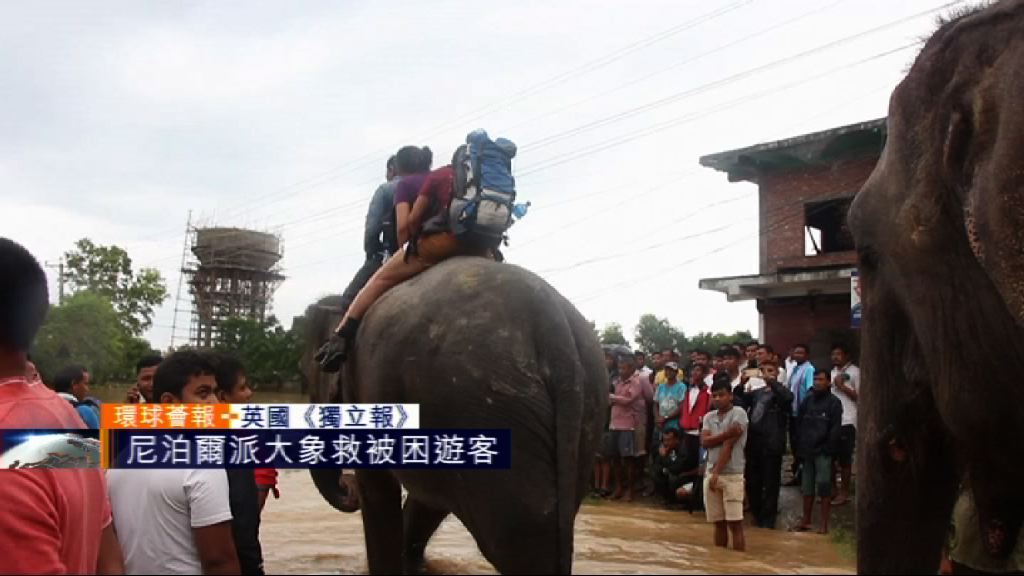 【環球薈報】尼泊爾派大象救出被困遊客