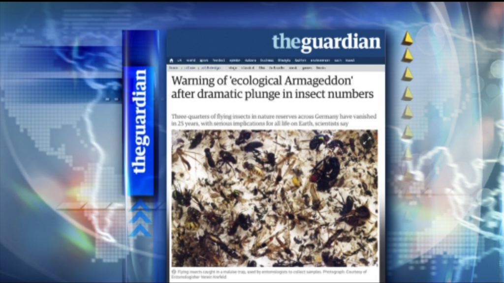 【環球薈報】大自然昆蟲量急降