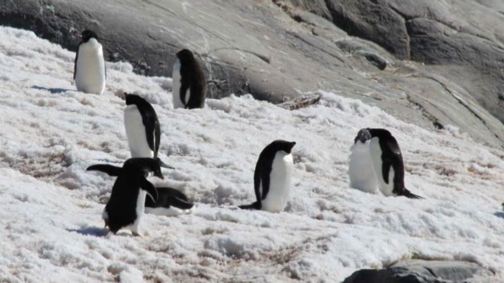 【環球薈報】太陽能科技助科學家更了解南極