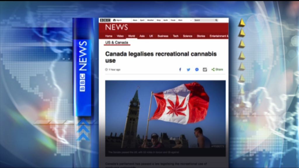 【環球薈報】加拿大通過大麻合法化