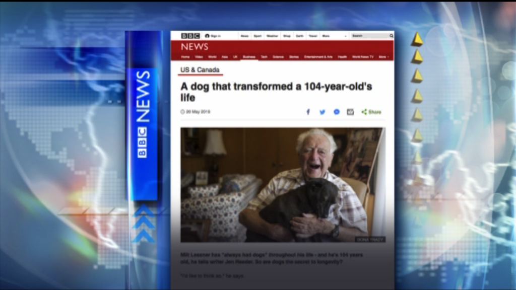 【環球薈報】美百歲老翁領養老狗結下情緣