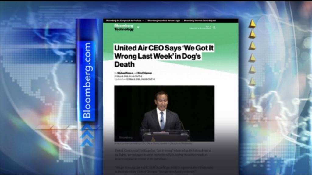 【環球薈報】寵物犬放艙頂行李櫃焗斃　聯航總裁認錯