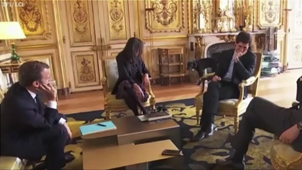 【環球薈報】「法國第一狗」於愛麗舍宮當眾小便