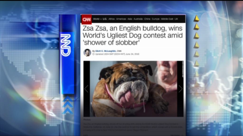 【環球薈報】長舌狗女勝出最醜狗狗選舉