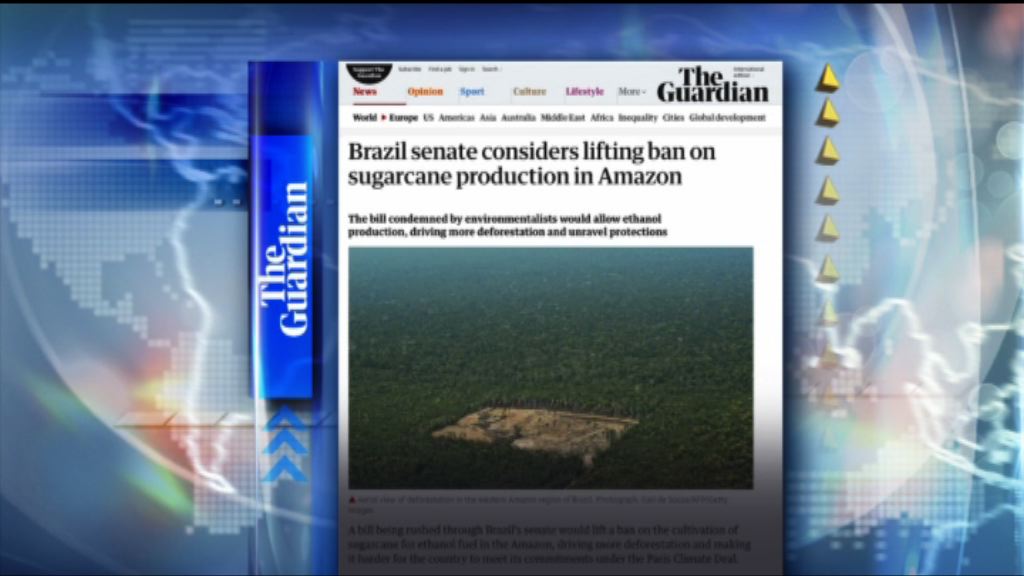 【環球薈報】巴西考慮解禁雨林種植甘蔗