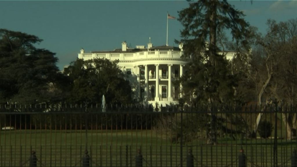 【環球薈報】白宮200歲老樹腐爛嚴重將砍掉