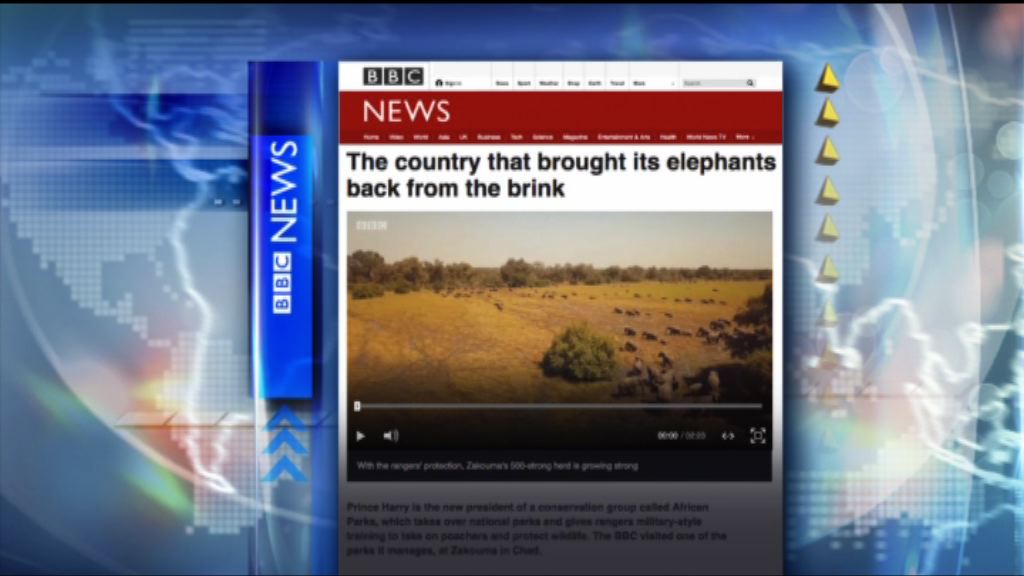 【環球薈報】乍得大象數目從絕種邊緣挽救回來