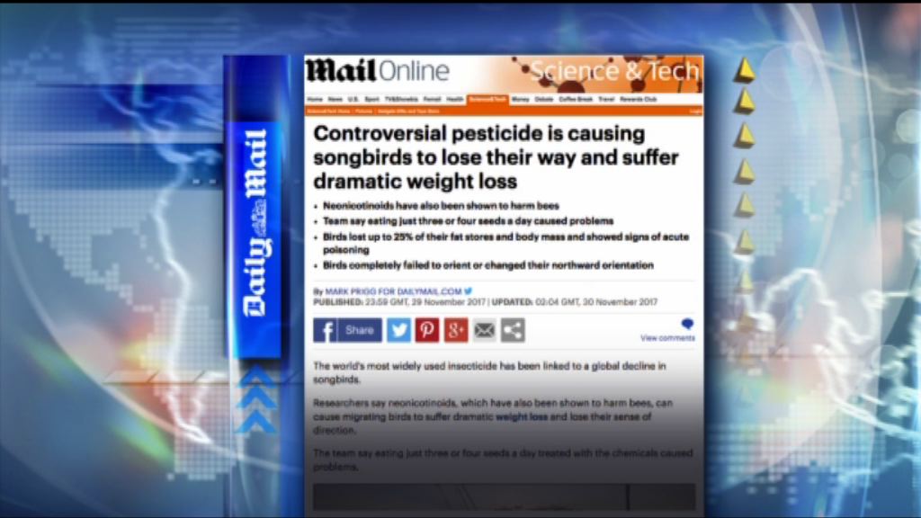 【環球薈報】專家指殺蟲劑會令候鳥失去方向