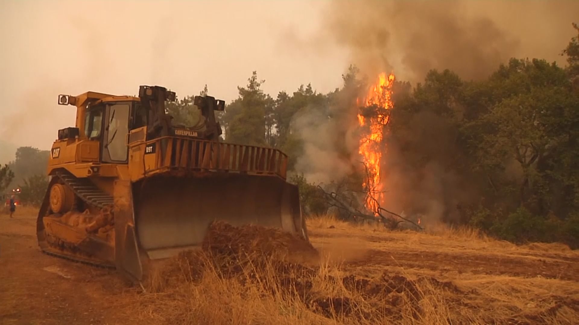希臘雅典北部多處山火　數千人緊急撤離