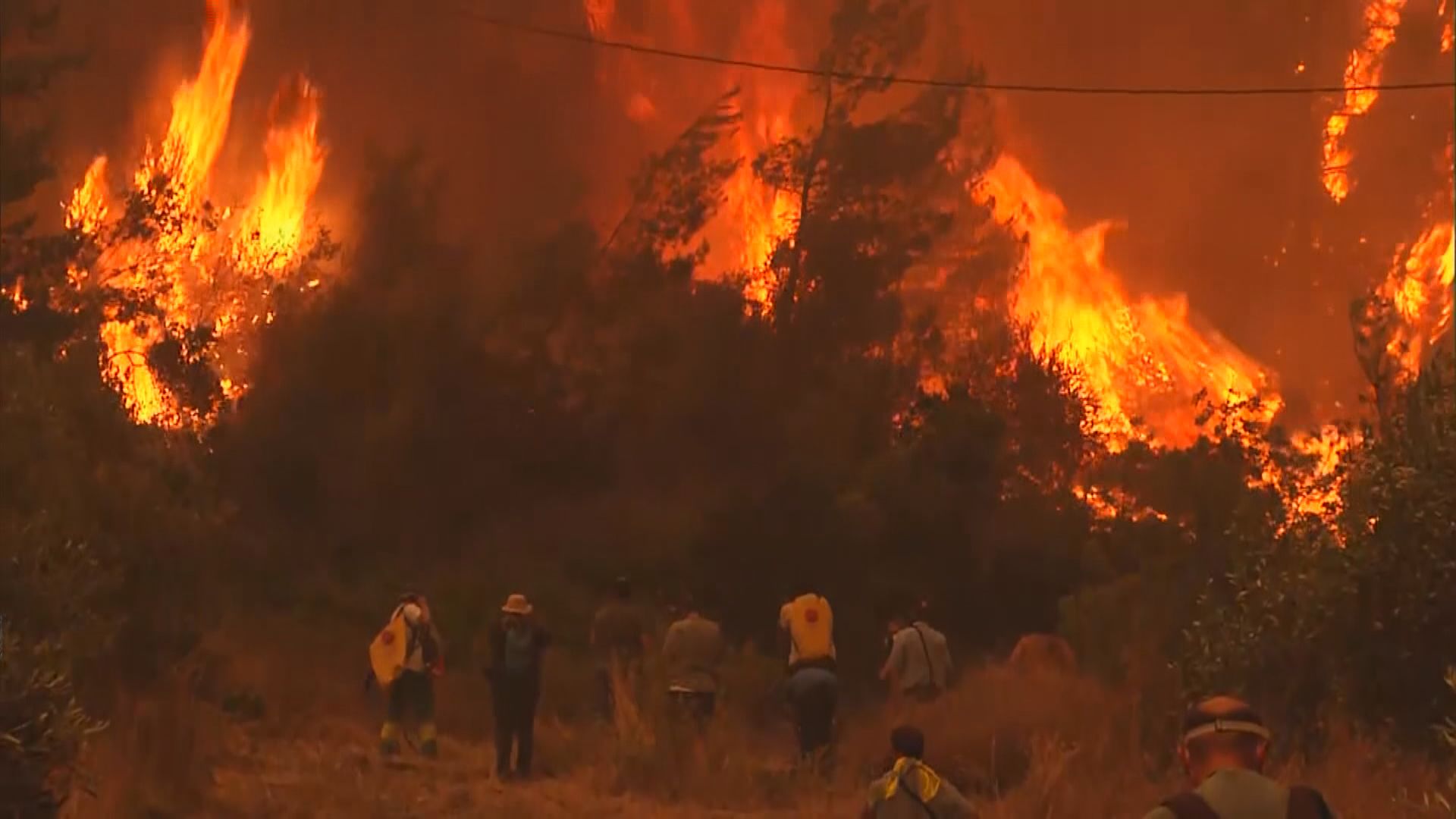 希臘山火失控埃維亞島數千居民需要撤離