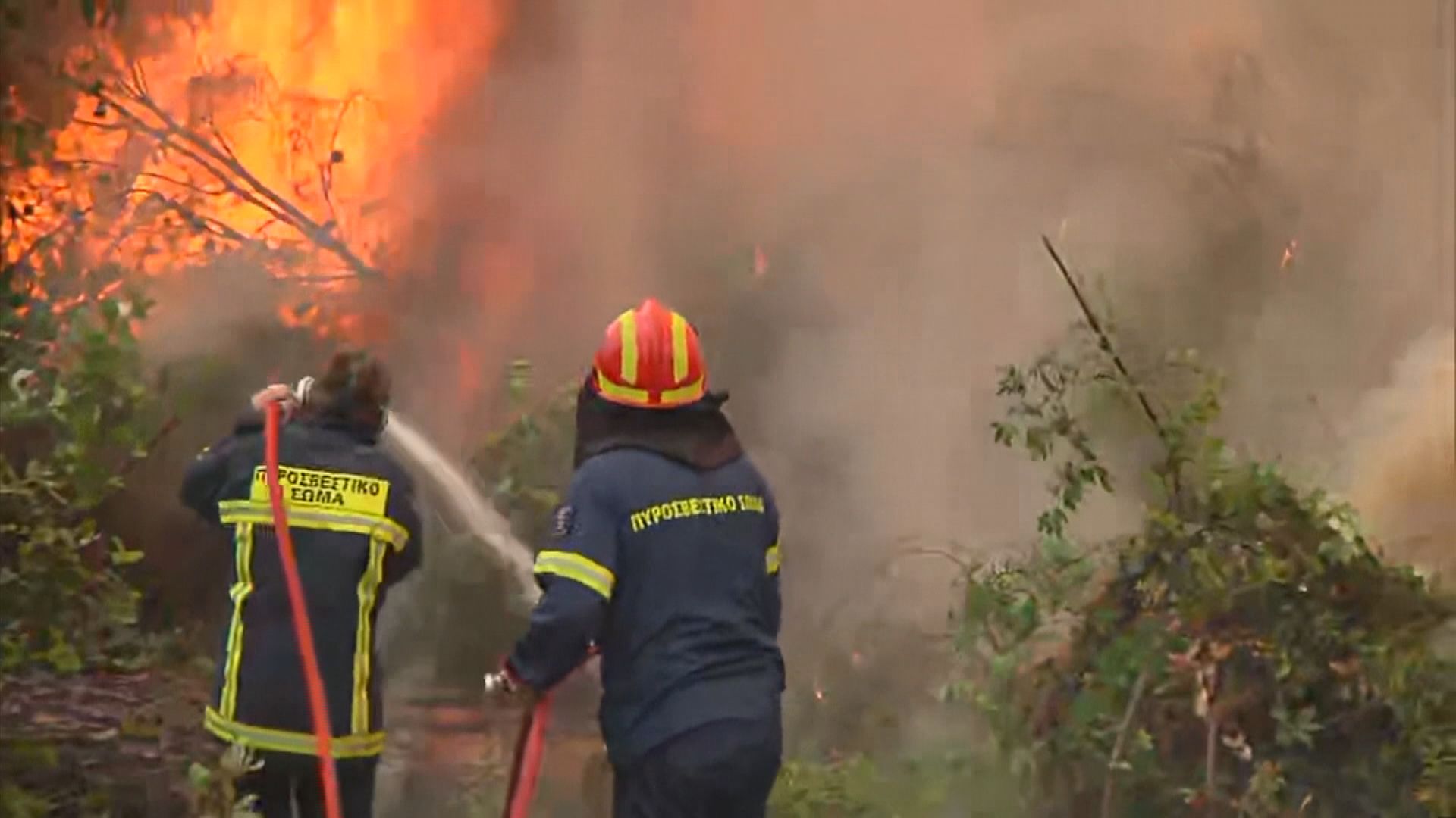 希臘總理就撲救山火不力致歉