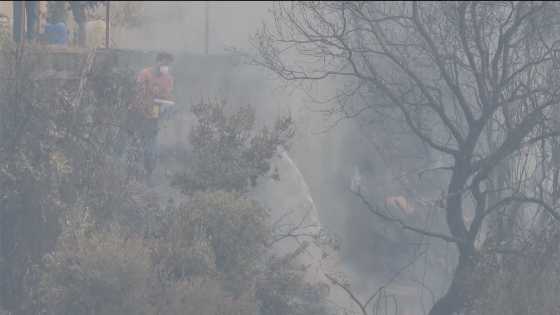 希臘埃維亞島山火火勢持續　多國派員支援