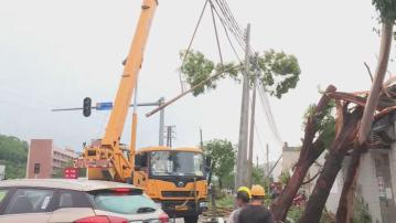 廣州白雲區出現龍捲風 多處樹木倒塌壓毀房屋