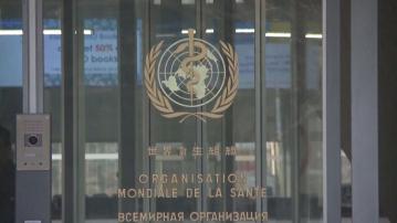 世衛指各國都有牛感染H5N1禽流感病毒風險